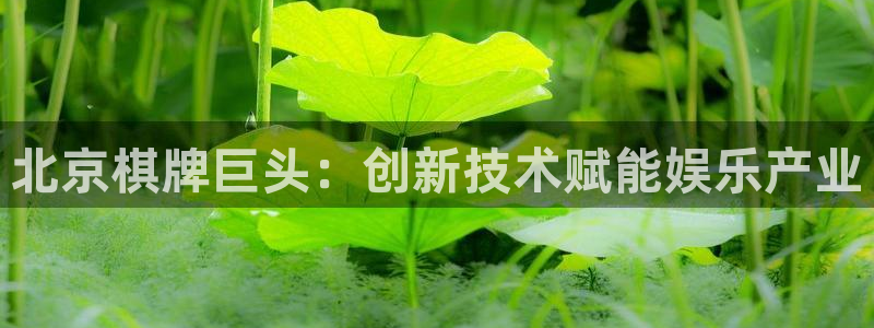 沐鸣2官方