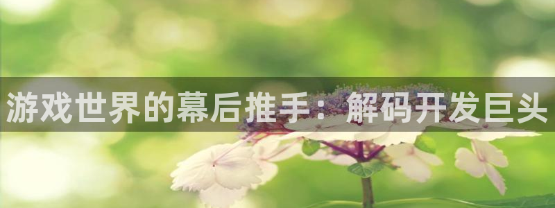 沐鸣2开户