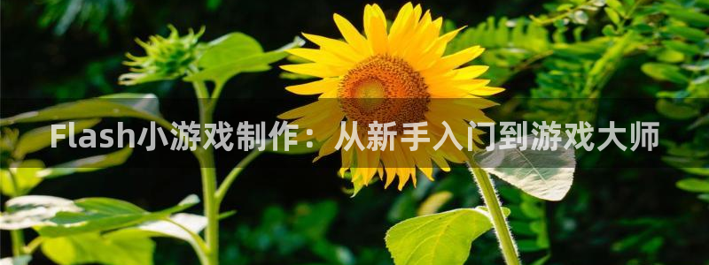 沐鸣2注册首页