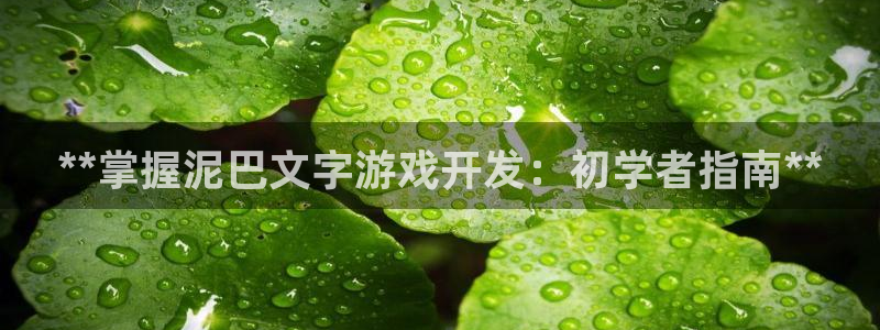 沐鸣2代理求27337