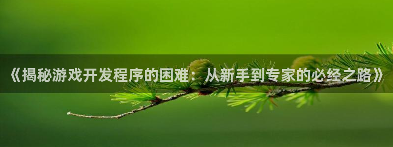 沐鸣娱乐2官方网站注册链接：《揭秘游戏开发程序的困难：从新手到专家的必经之路》