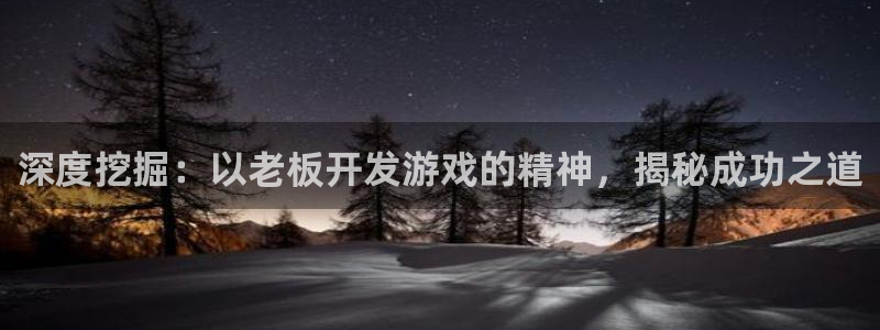 沐鸣娱乐2手机下载：深度挖掘：以老板开发游戏的精神，揭秘成功之道