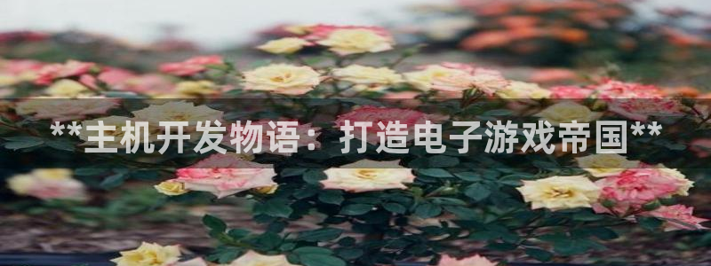 沐鸣2账号注册：**主机开发物语：打造电子游戏帝国**