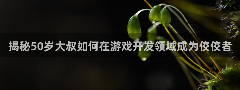 沐鸣娱乐2手机版：揭秘50岁大叔如何在游戏开发领域成为佼佼者
