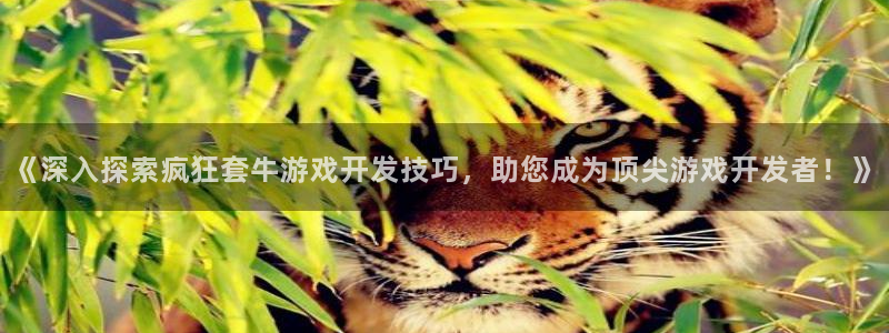 沐鸣2登录测试：《深入探索疯狂套牛游戏开发技巧，助您成为顶尖游戏开发者！》