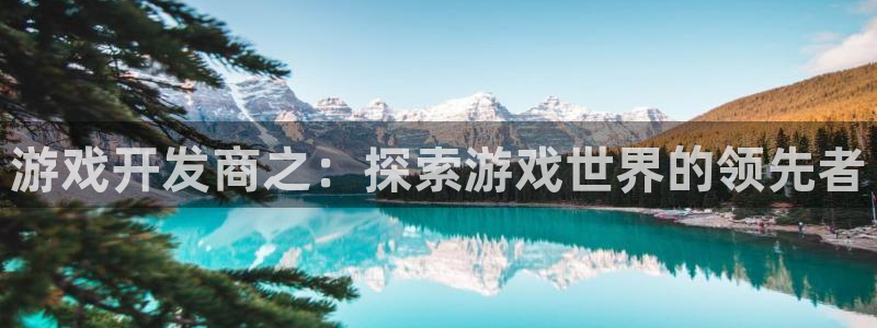 沐鸣2平台官方注册登录：游戏开发商之：探索游戏世界的领先者