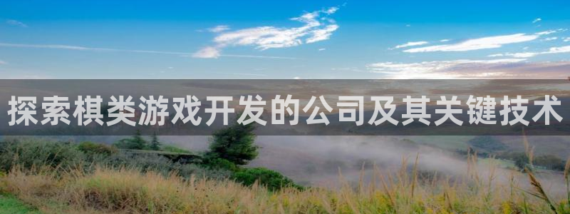 沐鸣2平台开户：探索棋类游戏开发的公司及其关键技术