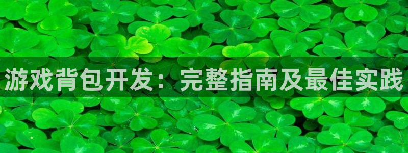 沐鸣2登录注册：游戏背包开发：完整指南及最佳实践