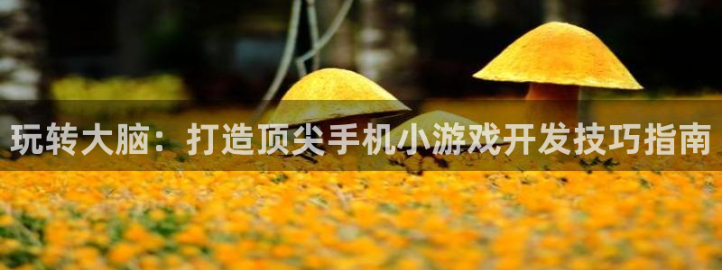 沐鸣2注册网站：玩转大脑：打造顶尖手机小游戏开发技巧指南