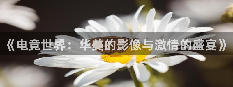 威客电竞集团：《电竞世界：华美的影像与激情的盛宴》