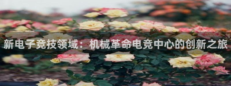 威客电竞vkgame官网：新电子竞技领域：机械革命电竞中心的创新之旅