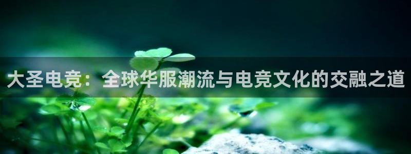 威客电竞吧官网安卓版