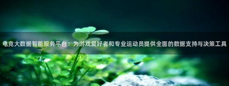威客电竞官网登录入口