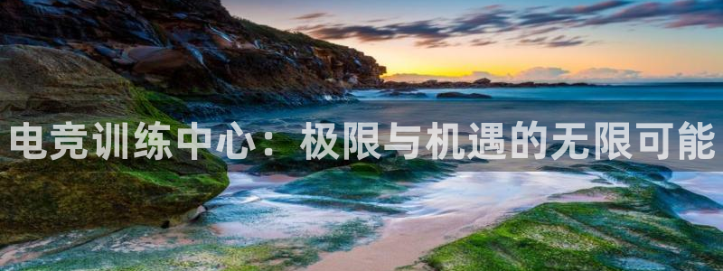 威客电竞 optic