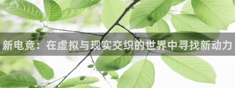 威客电竞官网