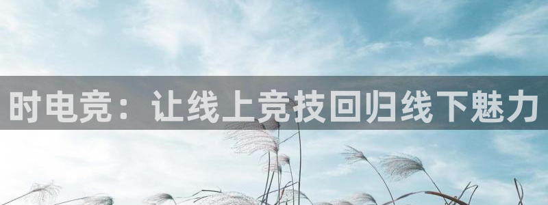 威客电竞 optic