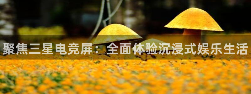 威客电竞酒店