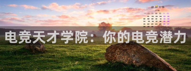 威客电竞网页版入口