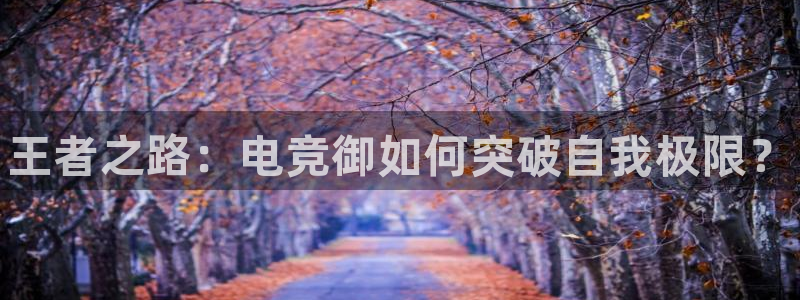 vk威客电竞