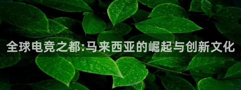 威客电竞VKGAME
